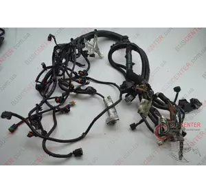 Проводка двигателя (KC0H) Renault Kangoo 8200028088 240113VD1A Проводка двигателя (KC0H) Renault Kangoo 8200028088 240113VD1A