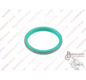 Прокладка клапанной крышки (уплотнительное кольцо) Ford Kuga 98 173 808 80 929.060 Прокладка клапанной крышки (уплотнительное кольцо) Ford Kuga 98 173 808 80 929.060