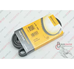 Ремень ручейковый 6 PK 1460 (без кондиционера) Ford Connect 1 308 228 6 PK 1460 Ремень ручейковый 6 PK 1460 (без кондиционера) Ford Connect 1 308 228 6 PK 1460