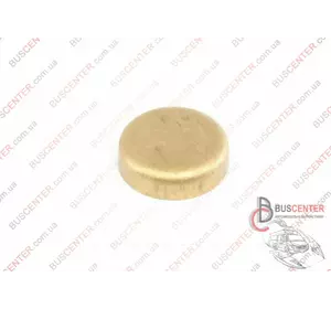 Заглушка двигателя D20 (Латунь/Brass) 40953 Заглушка двигателя D20 (Латунь/Brass) 40953
