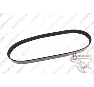 Ремень ручейковый 6 PK 870 Fiat Ducato 9633010080 DAY6PK870 Ремень ручейковый 6 PK 870 Fiat Ducato 9633010080 DAY6PK870