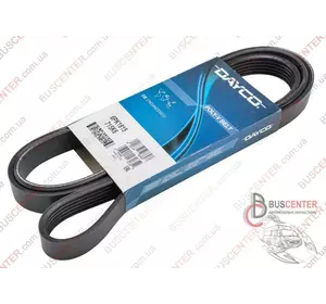 Ремень ручейковый 6 PK 1815 Fiat Doblo 55189680 DAY6PK1815 Ремень ручейковый 6 PK 1815 Fiat Doblo 55189680 DAY6PK1815
